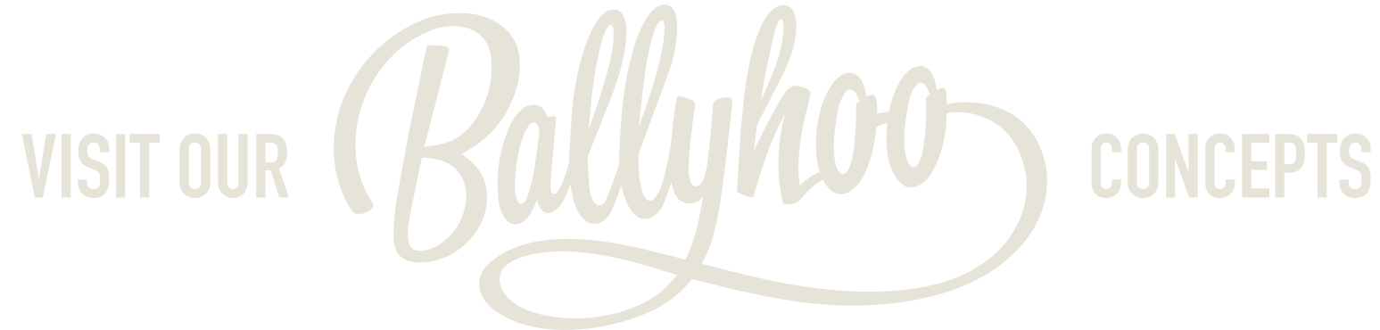 Ballyhoo Hospitality logo